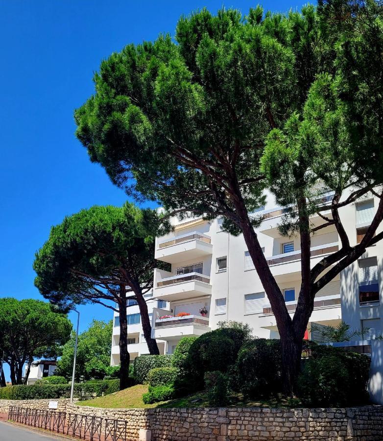 Appartement Telline Centre